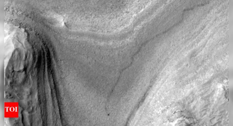 1745840292_photo.jpg