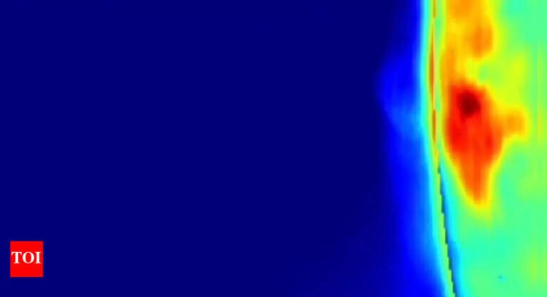 1747319835_photo.jpg