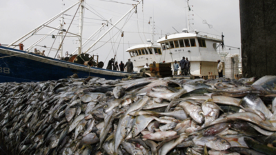 Asia-leads-global-farmed-fish-production.jpg